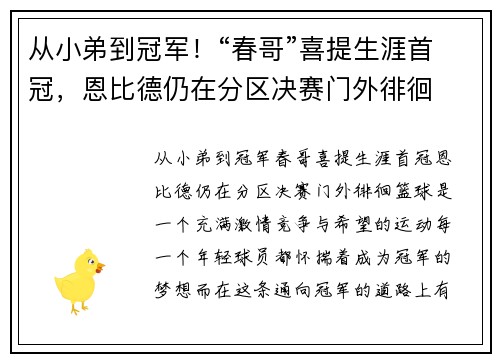 从小弟到冠军！“春哥”喜提生涯首冠，恩比德仍在分区决赛门外徘徊