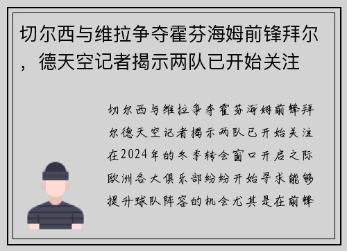 切尔西与维拉争夺霍芬海姆前锋拜尔，德天空记者揭示两队已开始关注