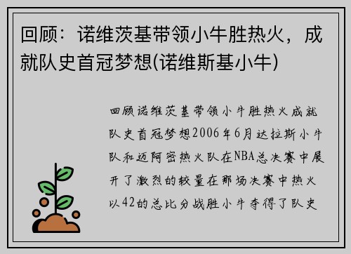 回顾：诺维茨基带领小牛胜热火，成就队史首冠梦想(诺维斯基小牛)